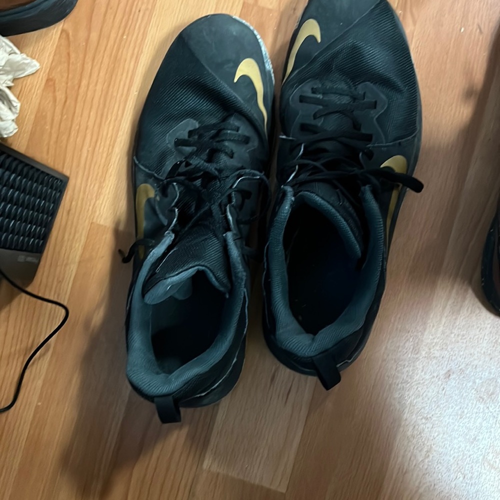 Mens Nike Fly.By Low Basketball size 13